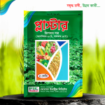 প্লাস্টার ( জিপসাম সার )